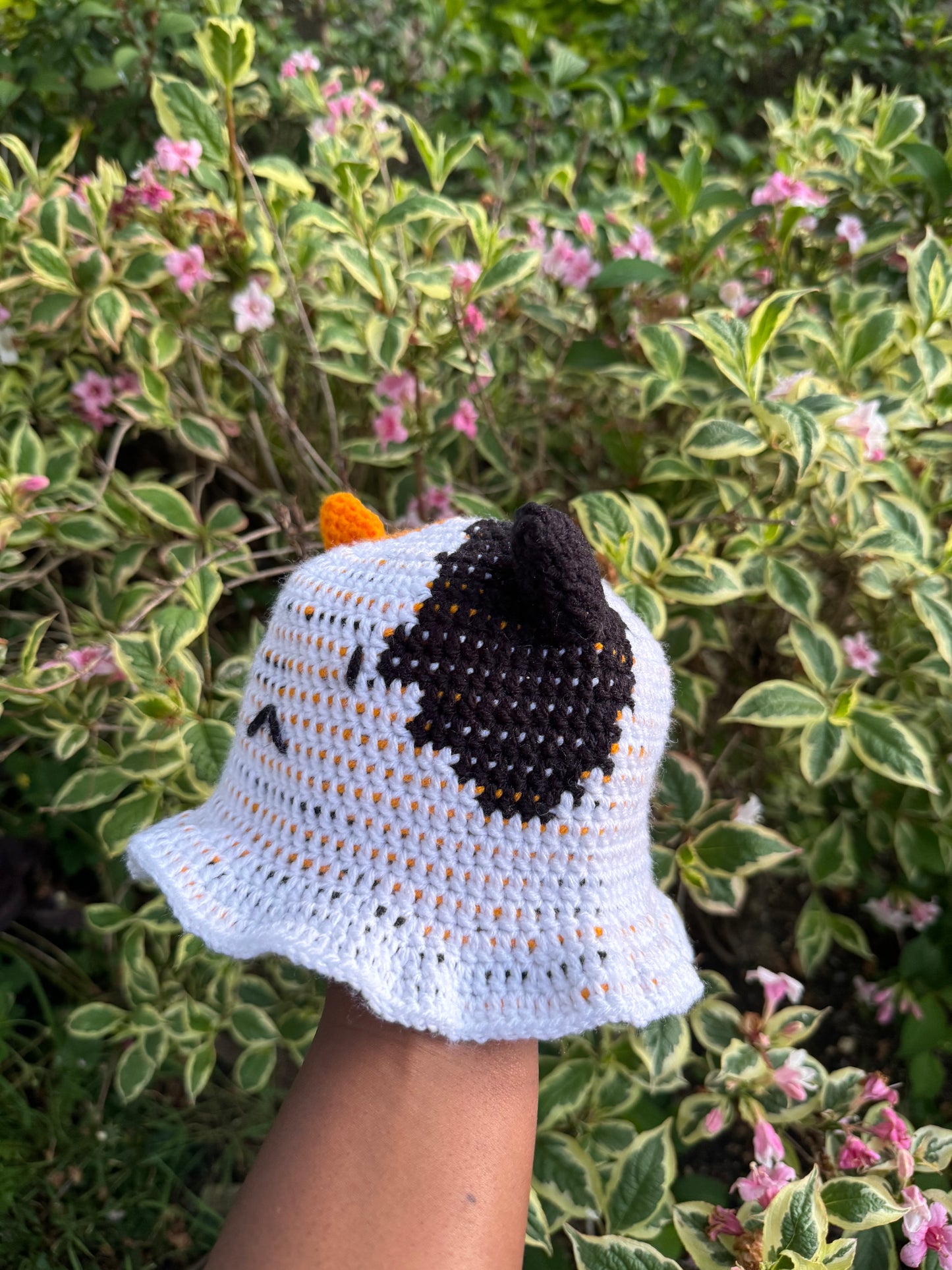 Cat Hat