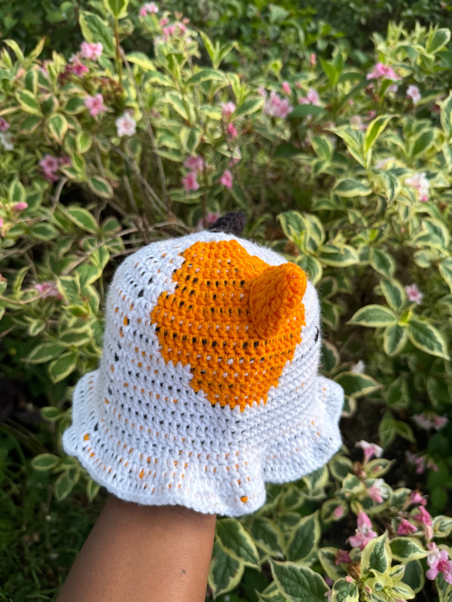 Cat Hat