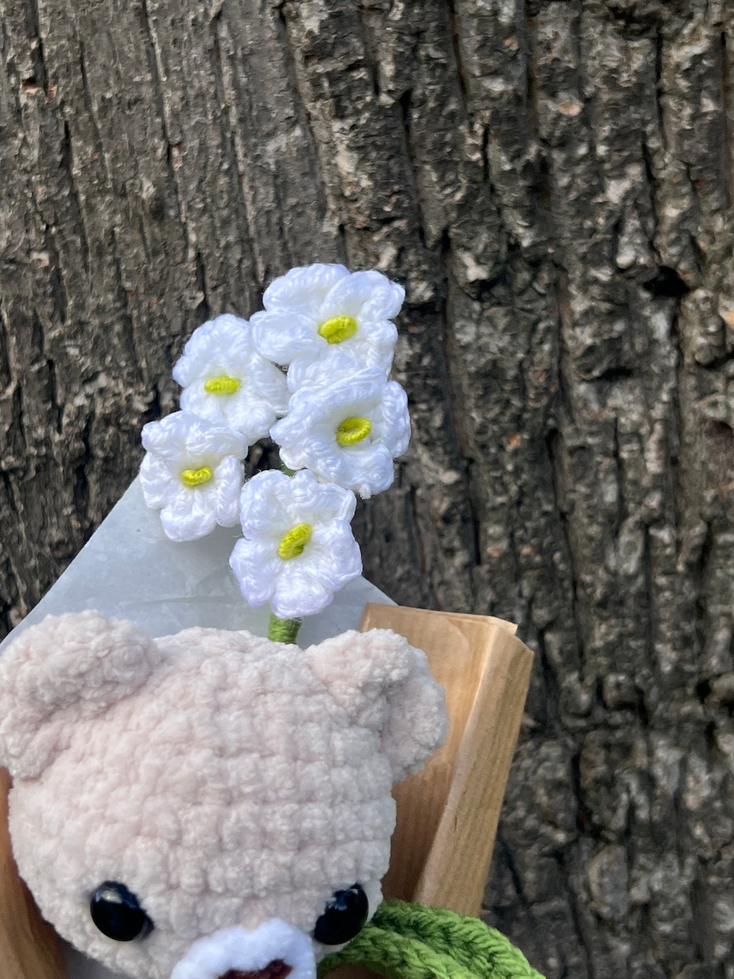Forget me not