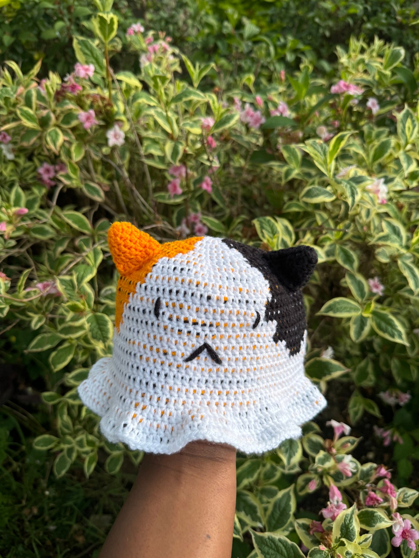 Cat Hat